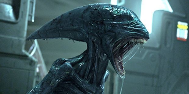 Alien : les Xenomorphes bientôt de retour en série ? #4