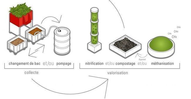 Uritrottoire : les pissotières écologiques fleurissent à Paris #3