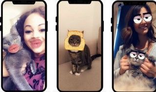 Snapchat lance des filtres spécialement pour les chats