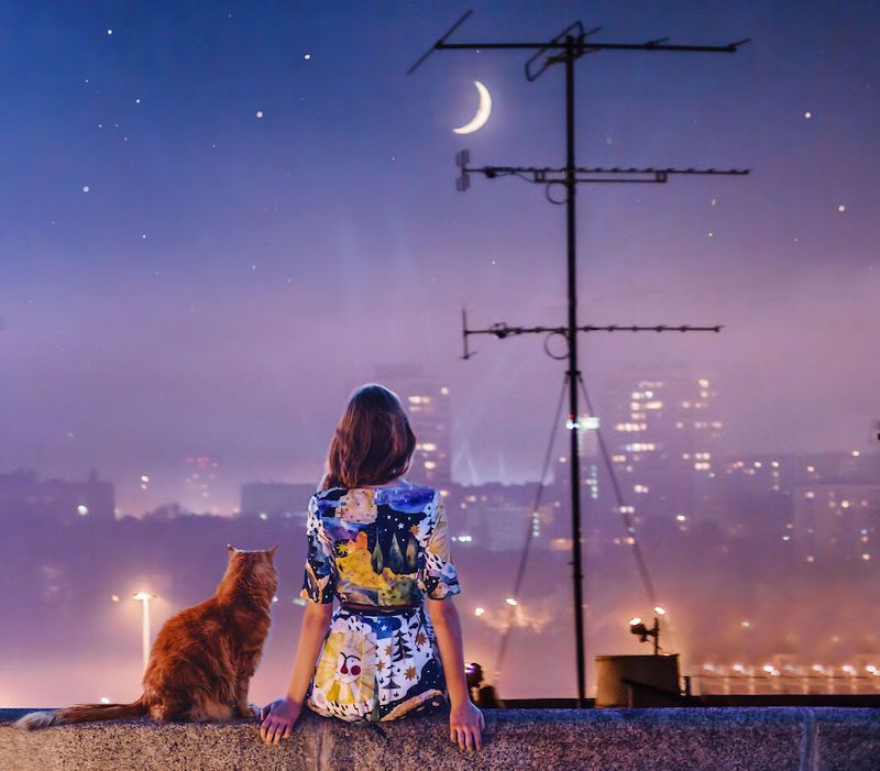 Une photographe russe met en scène son chat dans des aventures poétiques et colorées #7