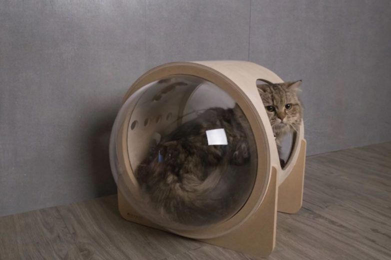 Spaceship : la niche pour chat avec hublot #17