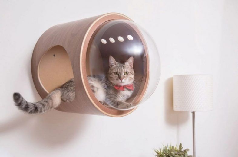 Spaceship : la niche pour chat avec hublot