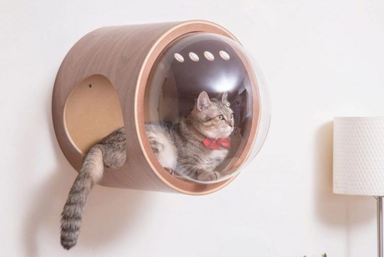 Spaceship : la niche pour chat avec hublot #10