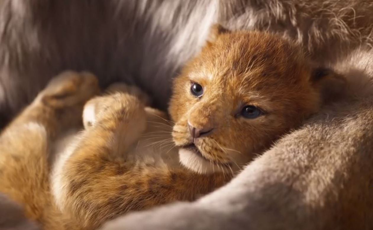 Le Roi Lion : bande annonce VO et VF du remake