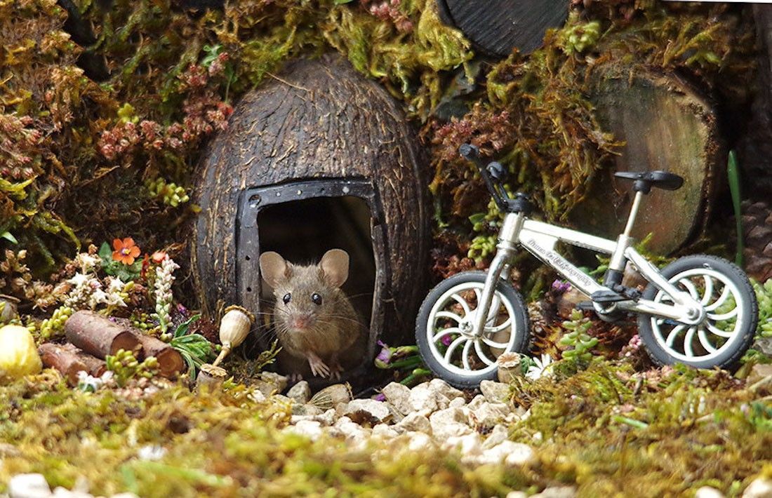 Ce photographe a construit un village de souris dans son jardin #9