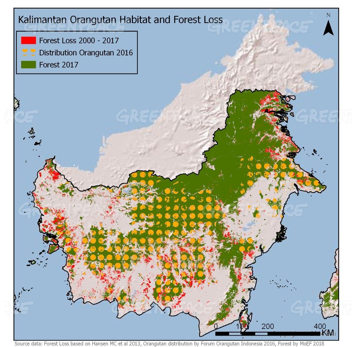 Oreo responsable de déforestation massive à cause de l'huile de palme #4