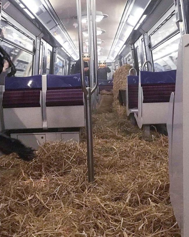 Paris : une rame de la ligne 13 transformée en bétaillère pour dénoncer les conditions de transport #5