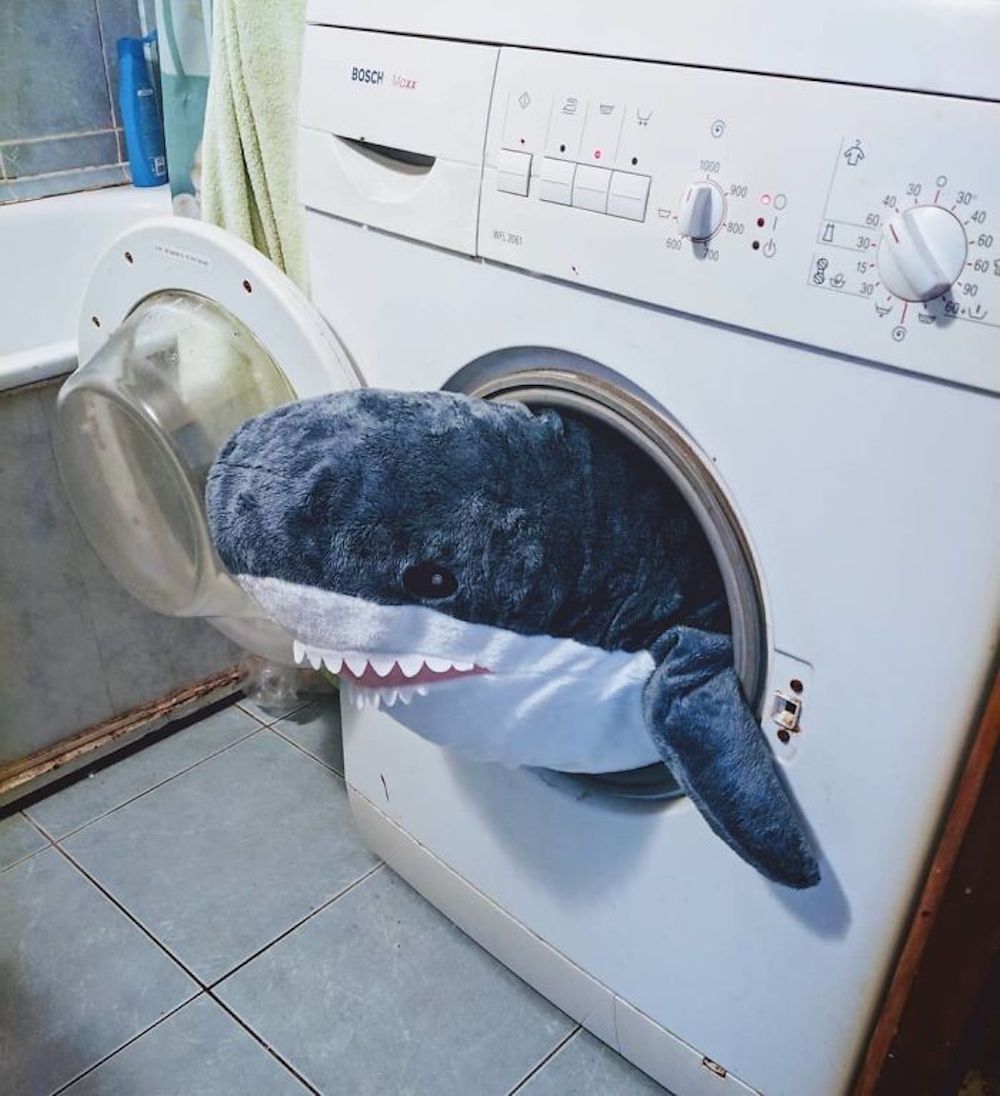 BLÅHAJ : l'adorable requin en peluche IKEA fait le buzz #15