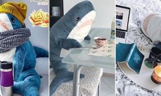 BLÅHAJ : l'adorable requin en peluche IKEA fait le buzz
