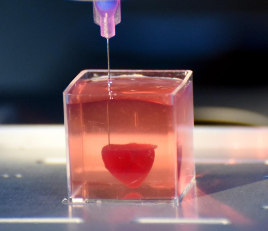 Impression 3D : des scientifiques créent un cœur humain de toute pièce #2