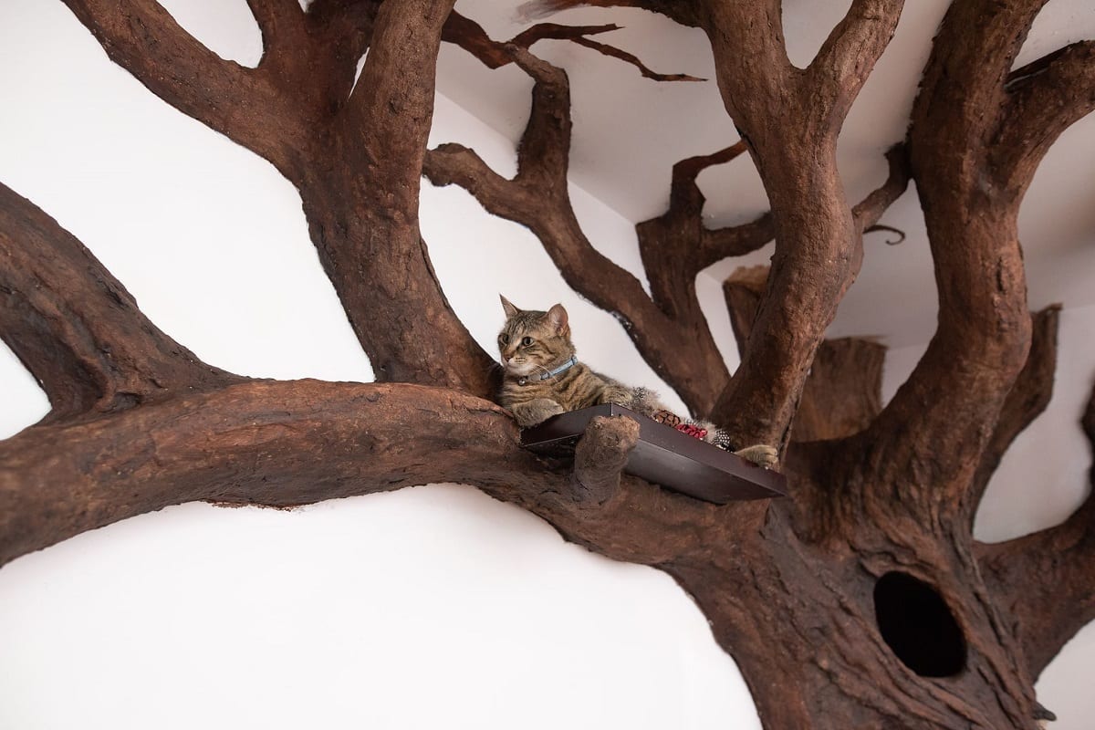 Cet arbre à chat grandeur nature est complètement dingue #5