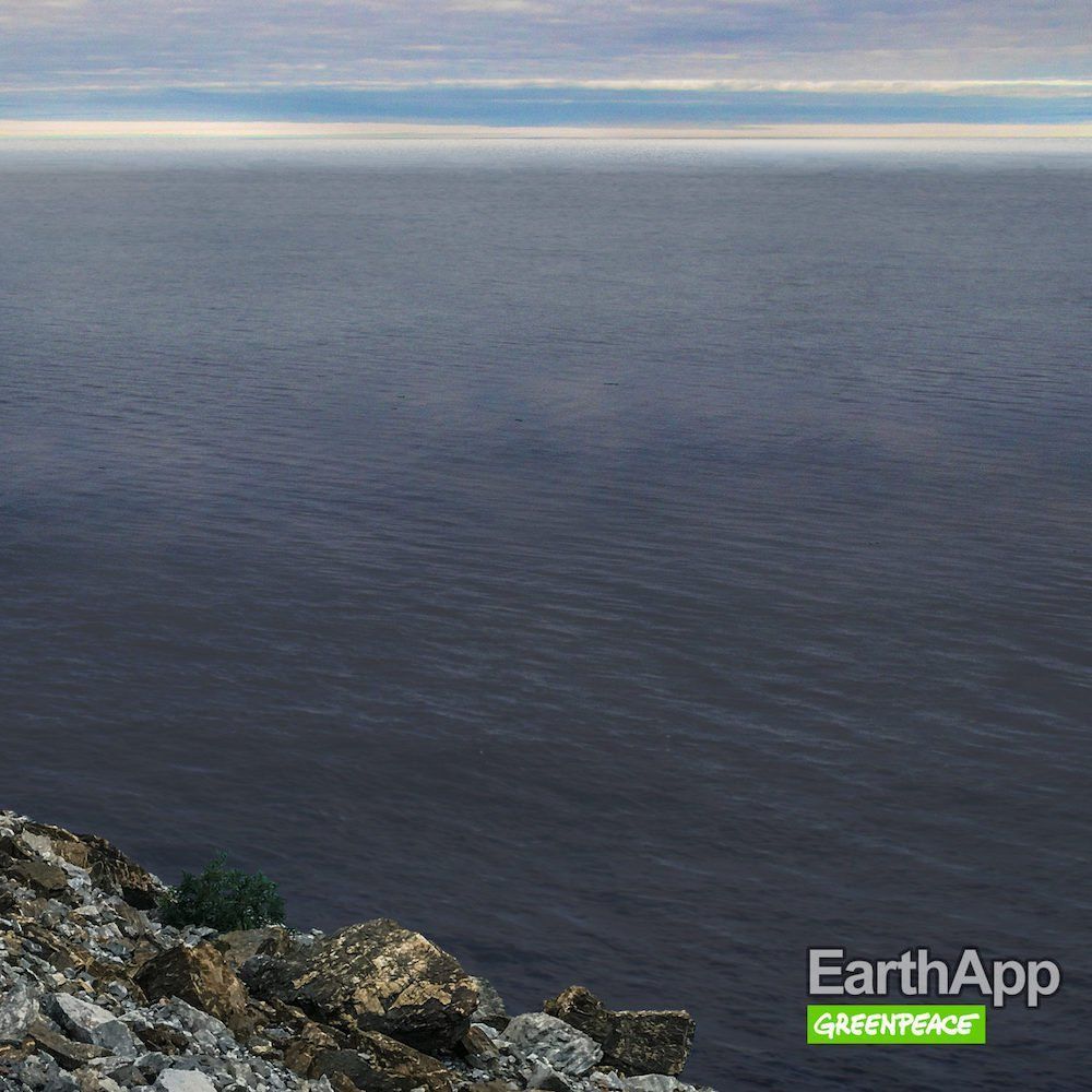 EarthApp : Greenpeace détourne FaceApp pour montrer le futur visage de la Terre #3