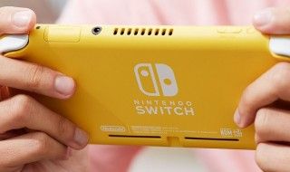 La Nintendo Switch Lite victime d'un premier bug