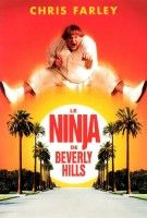 Affiche Le Ninja de Beverly Hills