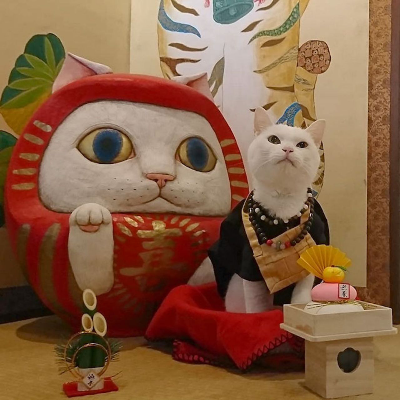 Au Japon, il existe un temple dédié aux chats #2