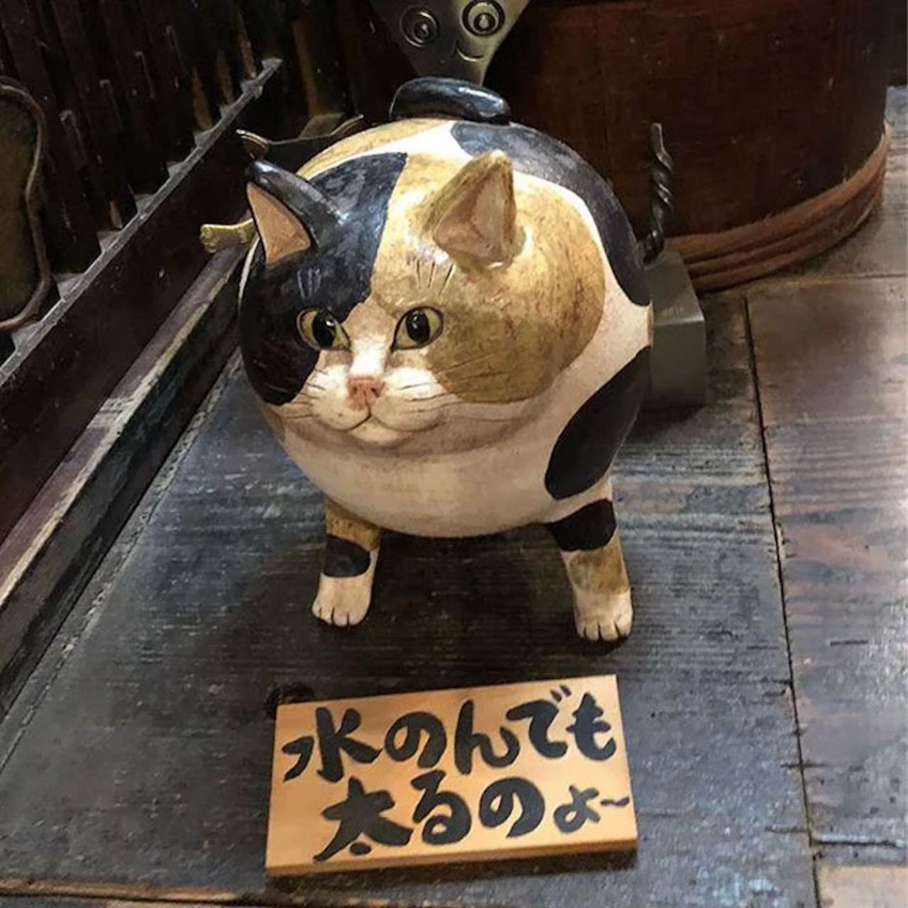 Au Japon, il existe un temple dédié aux chats #7