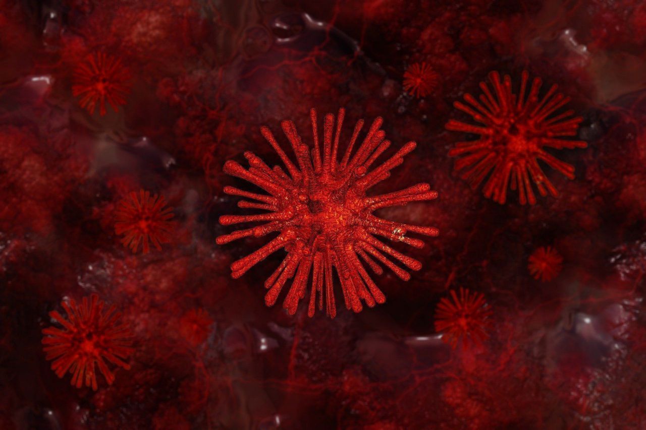Coronavirus : la Chine lance une appli pour détecter les personnes ayant été en contact avec le virus #2