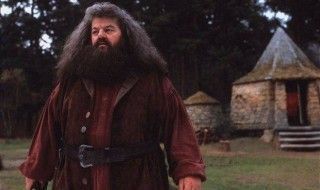 Les Animaux Fantastiques 3 : Hagrid et Tom Jedusor en cameos ?