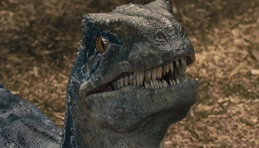 Jurassic Park : un dinosaure mi-vélociraptor mi-poulet devrait prendre vie d'ici 2025