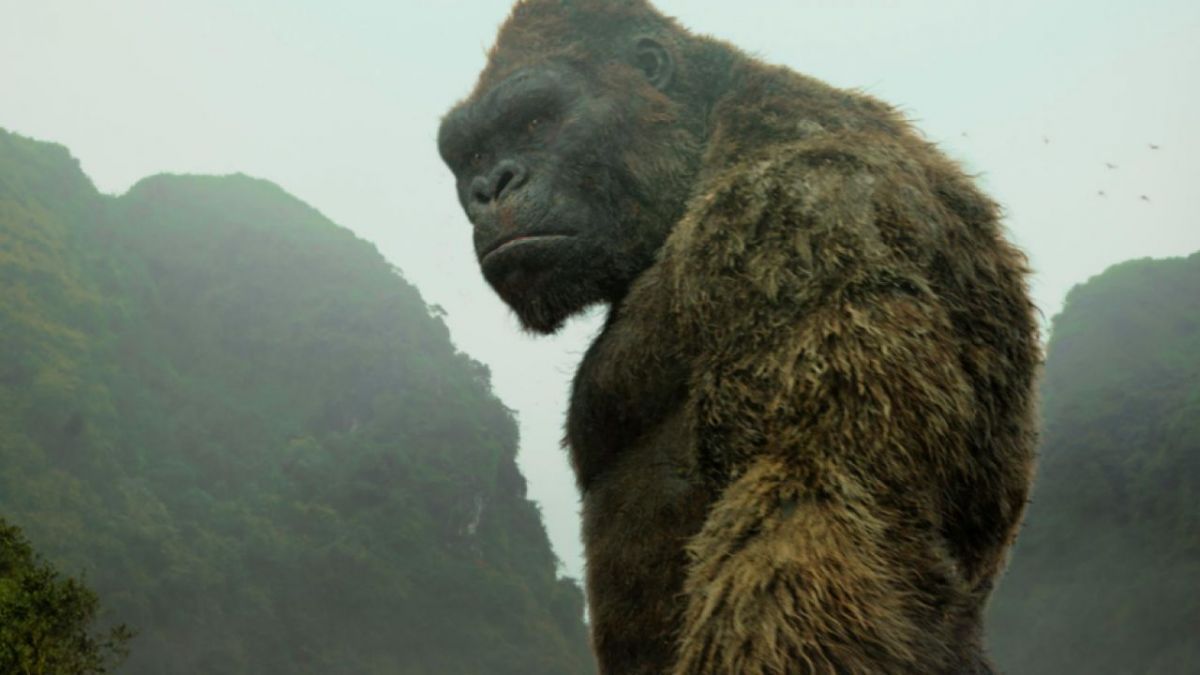Godzilla vs Kong : Netflix a tenté de racheter le film pour 200 millions de dollars #2