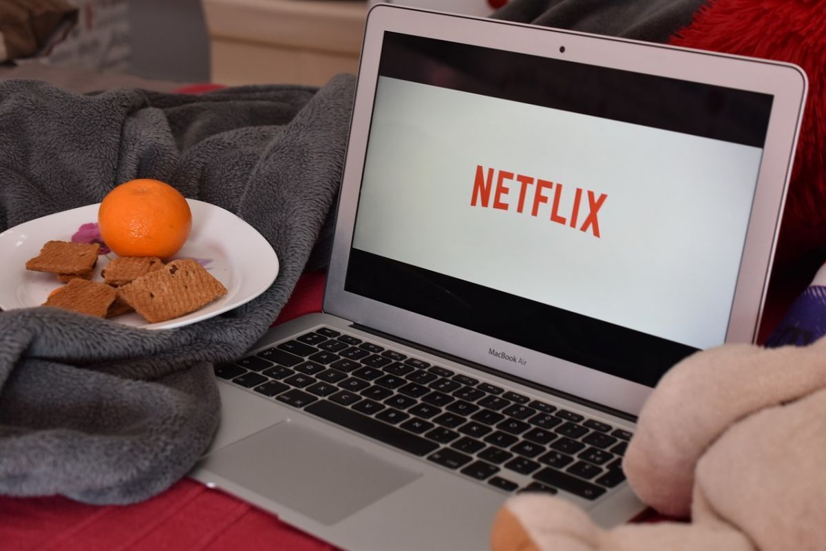 Netflix va enfin payer ses impôts en France #2