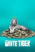 Affiche Le tigre blanc