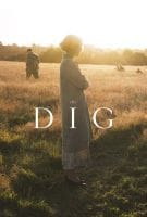 Affiche The dig