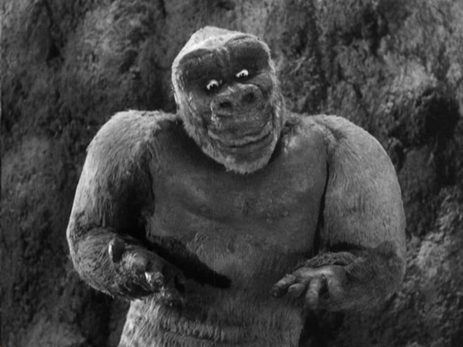 Son of Kong : le réalisateur de Godzilla vs Kong en discussion pour réaliser la suite #2