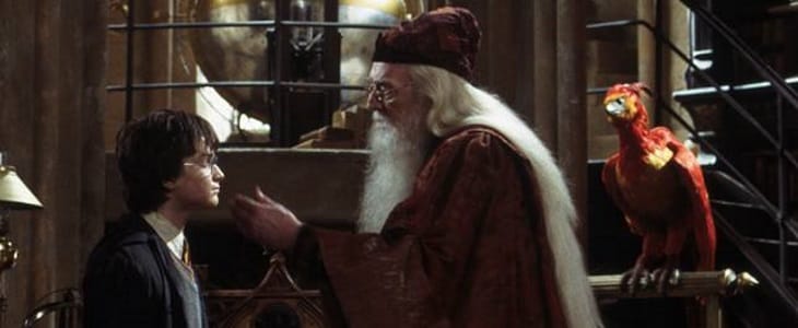 12 anecdotes sur Harry Potter et la Chambre des secrets #7