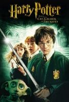 Affiche Harry Potter et la Chambre des Secrets