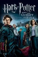 Affiche Harry Potter et la Coupe de Feu
