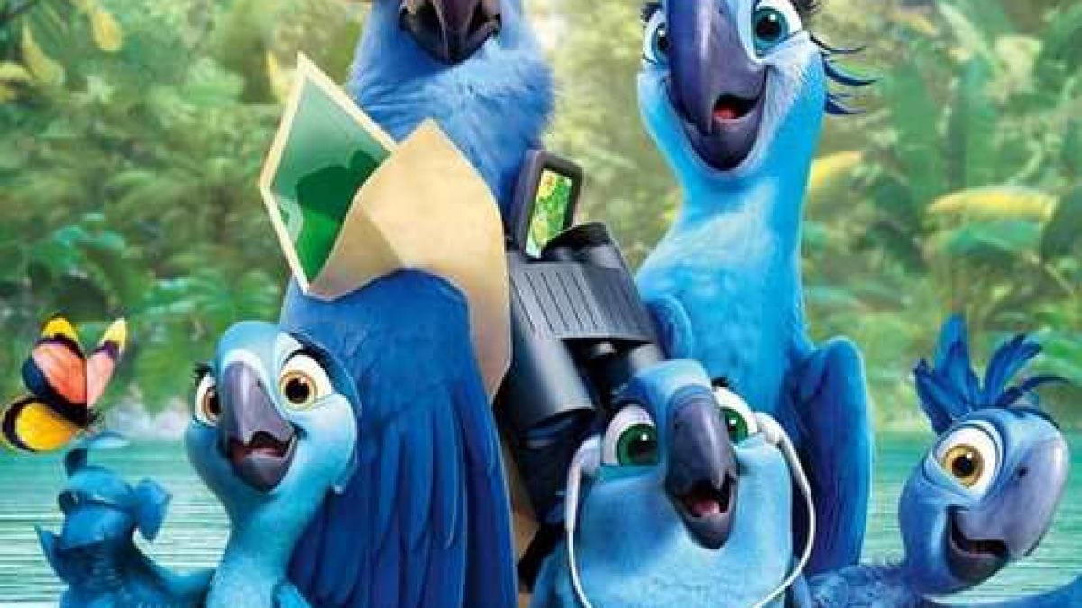 Rio 2 En Streaming Vf 14