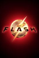 Affiche The Flash : Flashpoint