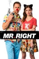 Affiche Mr. Right