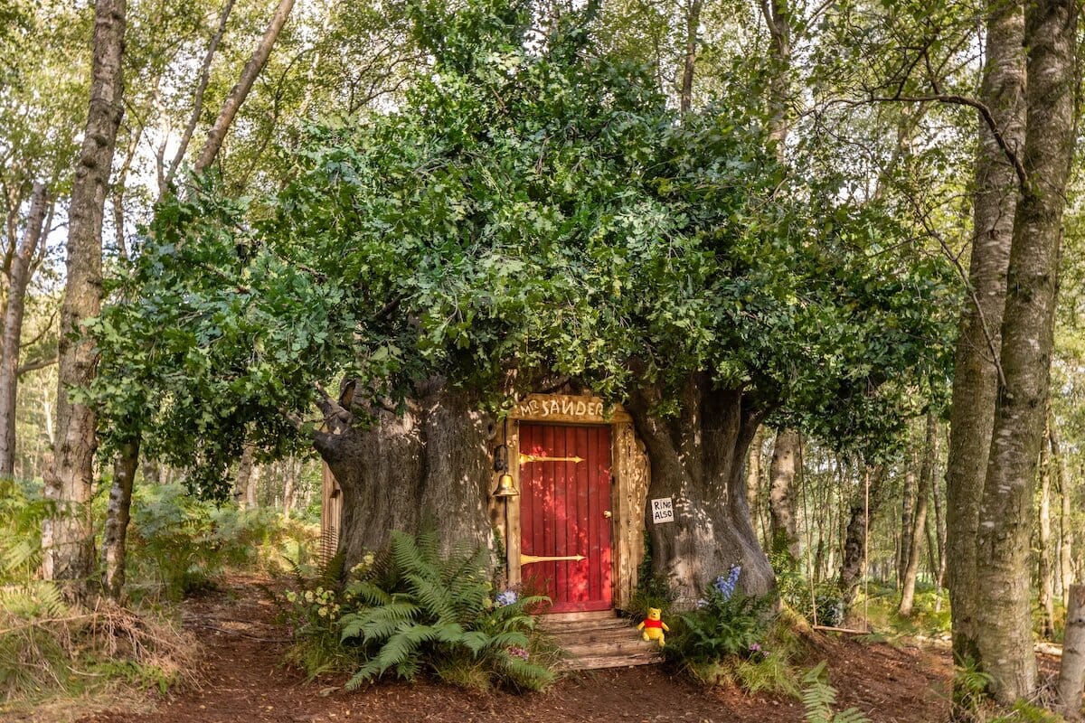 Disney : la cabane de Winnie l’ourson est à louer sur Airbnb