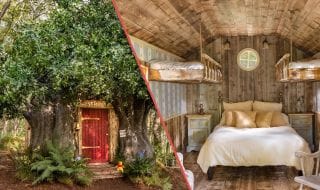 Disney : la cabane de Winnie l'ourson est à louer sur Airbnb