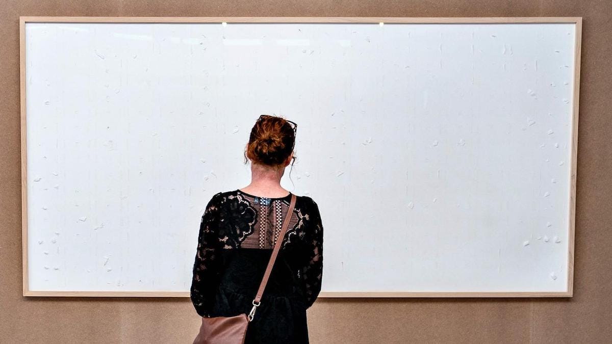 Payé 70.000 euros, un artiste livre une toile blanche baptisée ˝Prends l'argent et tire-toi˝