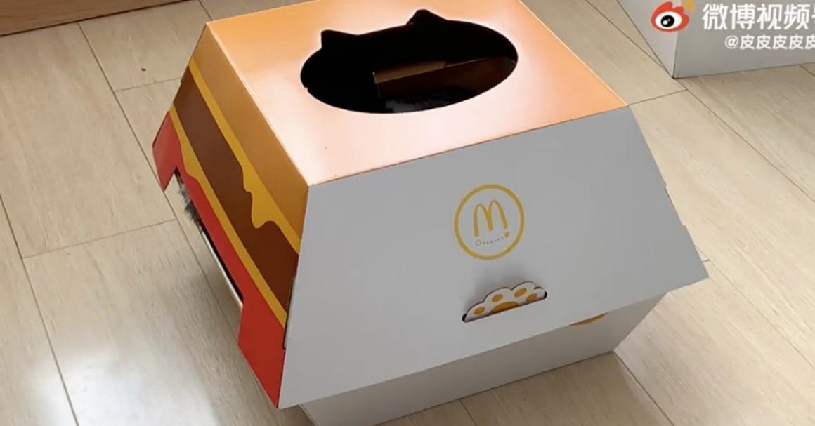 McDonald's offre des niches pour chats en forme de boîtes à burger ! #3