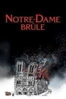 Affiche Notre-Dame brûle