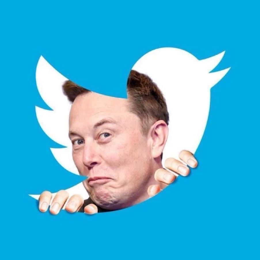 Elon Musk rachète Twitter pour 44 milliards de dollars et vire tous les actionnaires