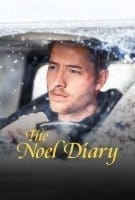 Affiche The Noel Diary