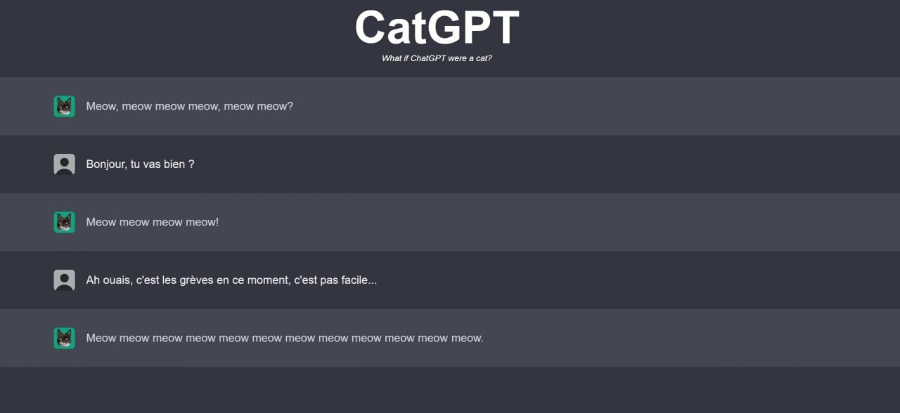 CatGPT, cette IA basée sur l'intelligence des chats est plus puissante que ChatGPT #3