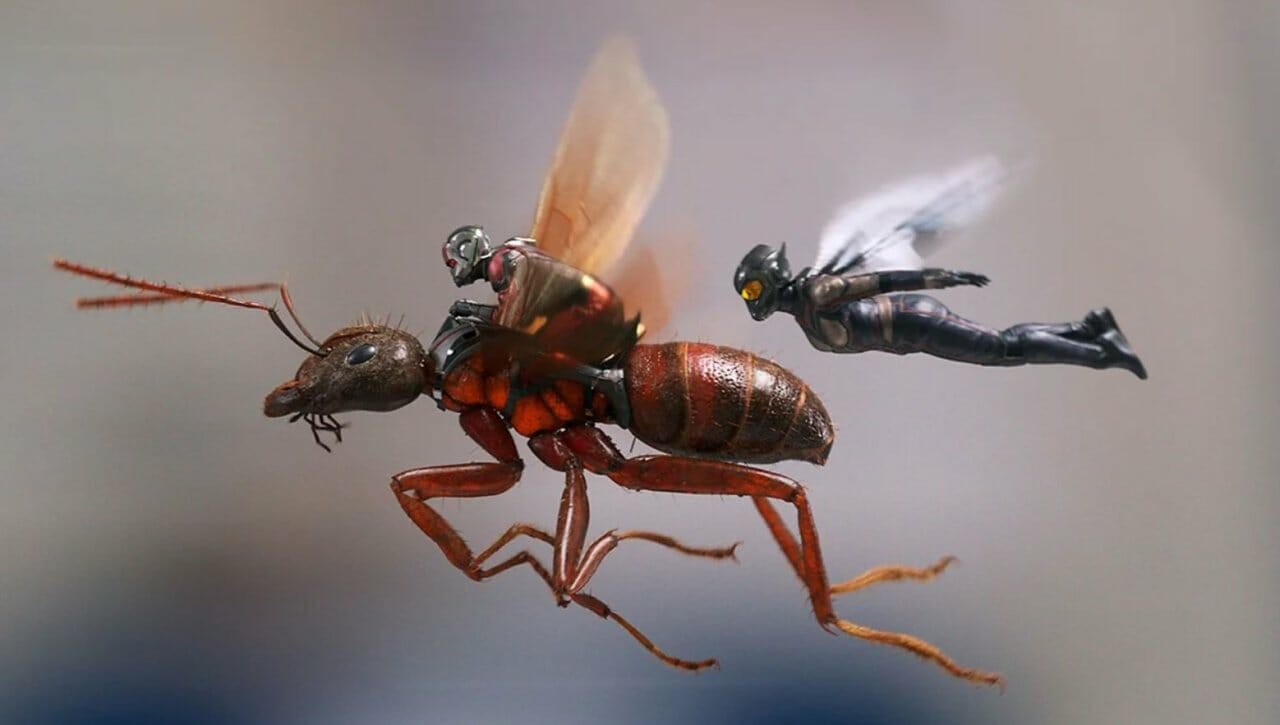 Combien de scènes post générique pour Ant Man 3 ?