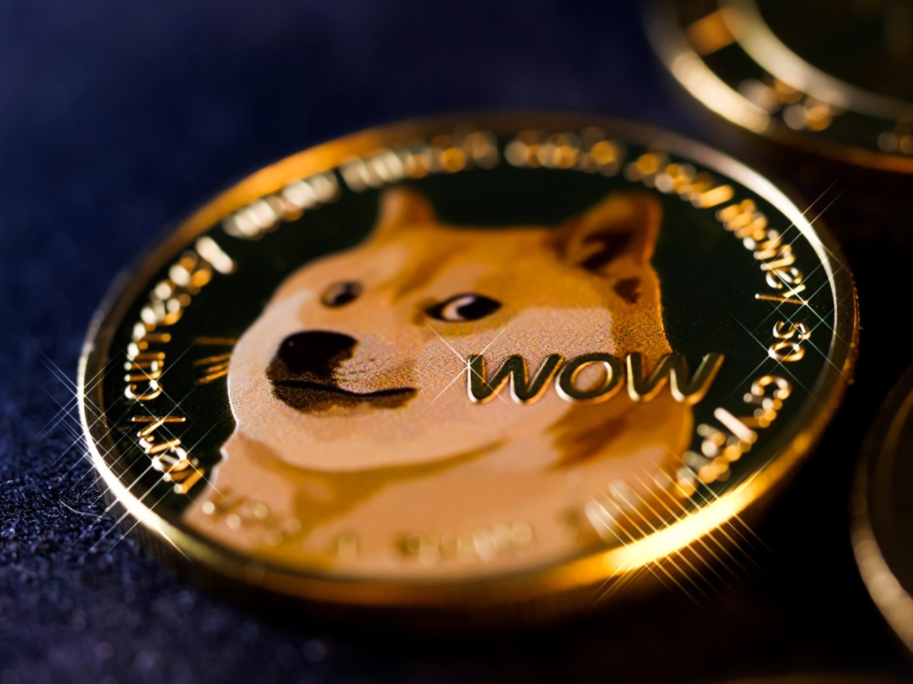 Twitter change de logo pour celui du Dogecoin et le cours de la cryptomonnaie s'envole