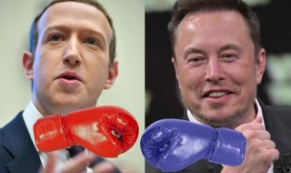 Elon Musk va affronter Mark Zuckerberg dans un octogone pour de vrai