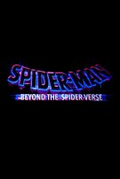 Affiche Spider-Man : Beyond the Spider-Verse