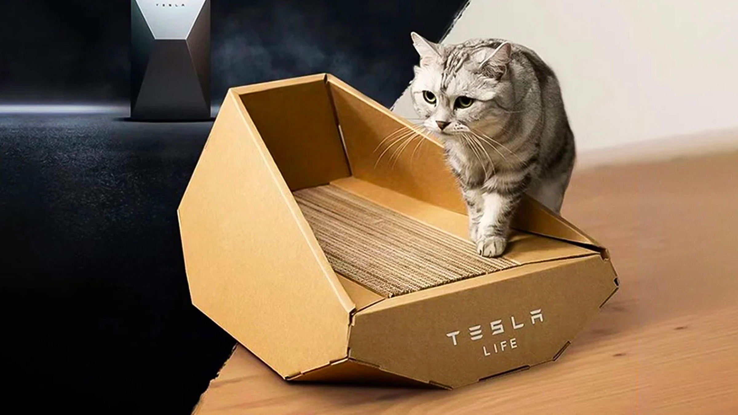 Tesla va vendre une litière pour chat inspirée du Cybertruck #2