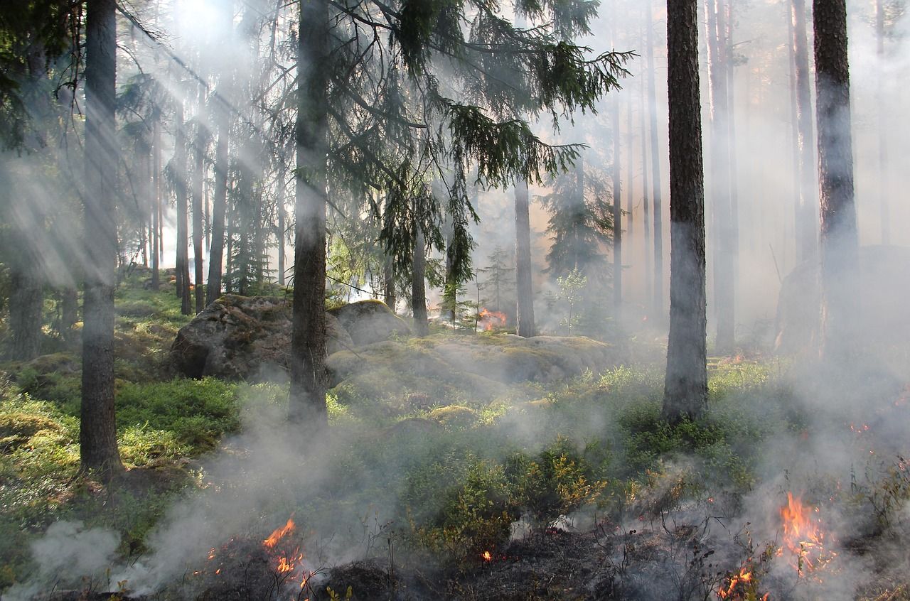 Un pompier met au point des caméras qui utilisent l’IA pour détecter les incendies #3