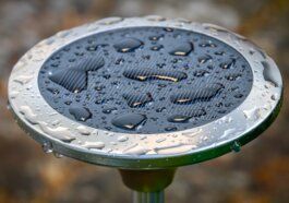 solar, solar panel, nature