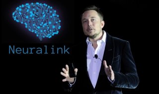 Elon Musk aurait menti sur les causes de la mort des singes utilisés pour tester l'implant cérébral de Neuralink